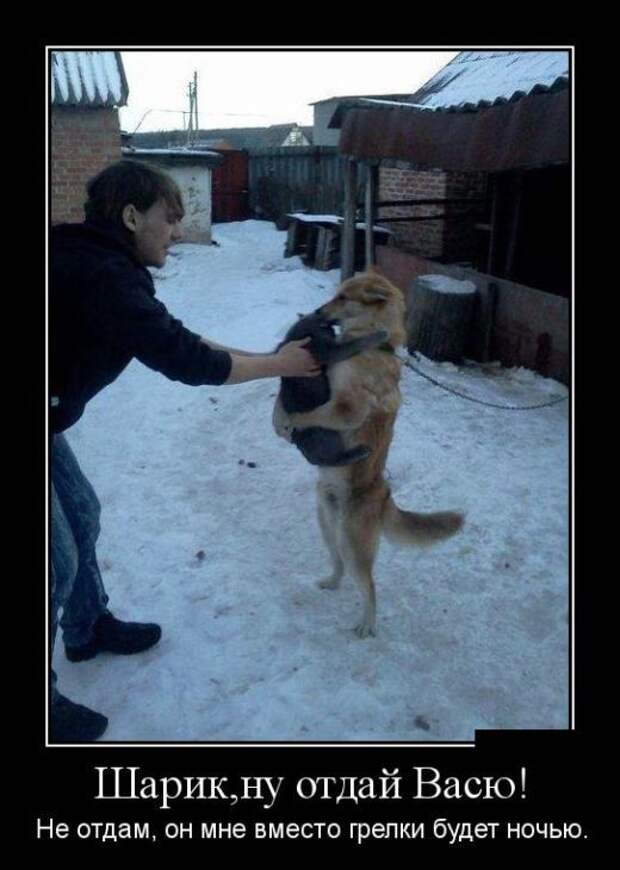 Демотиваторы