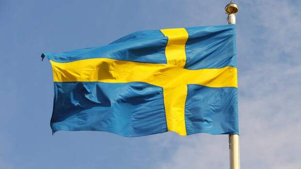 В Швеции раскритиковали возмущенного шуткой про украинок в публичных домах посла
