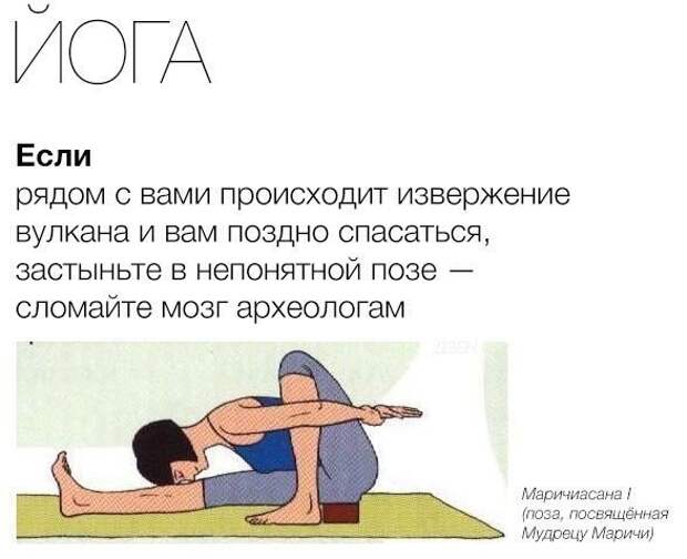 Картинки картинки, юмор