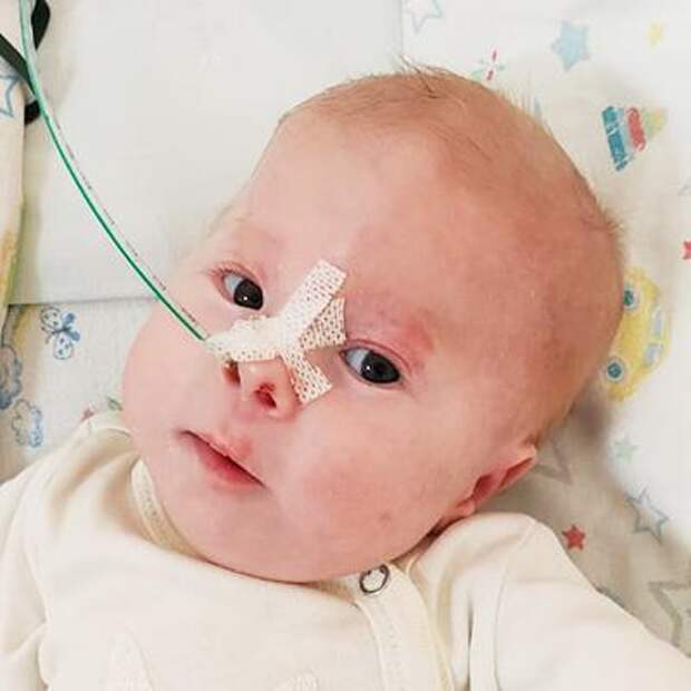 Дима Грызлов, 3 месяца, врожденный порок сердца, спасет эндоваскулярная операция, 525 854 ₽