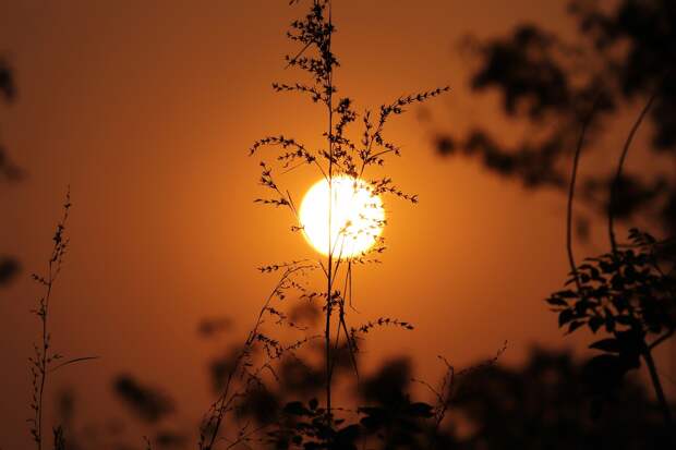 На Земле может начаться новый ледниковый период