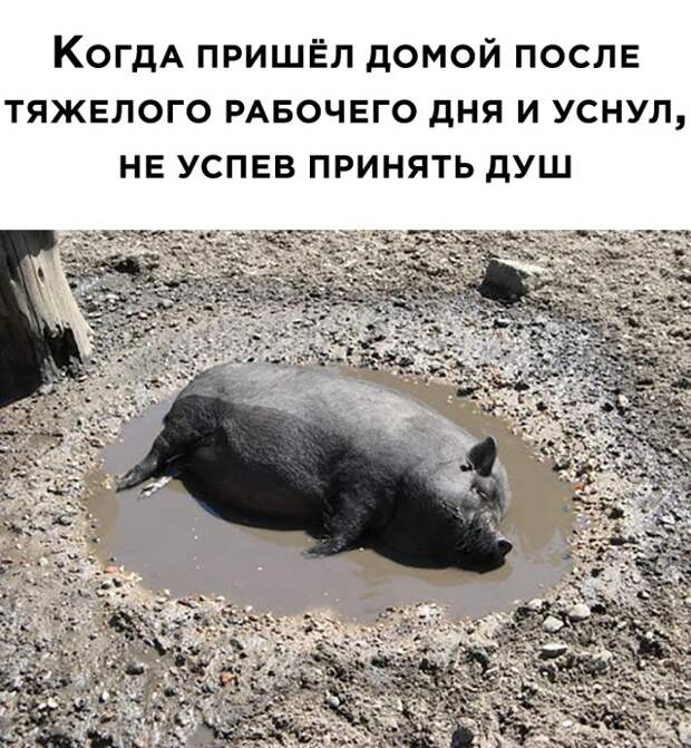 Смешные картинки 3 мая 2021