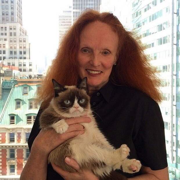 кошка