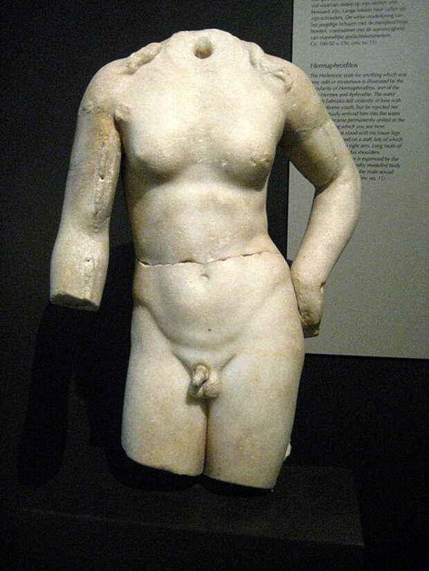 Фрагмент статуи Гермафродита/4711681_Fragment_statyi_Germafrodita_2 (525x700, 273Kb)