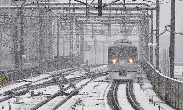 Tokyo First Snow In November 2016