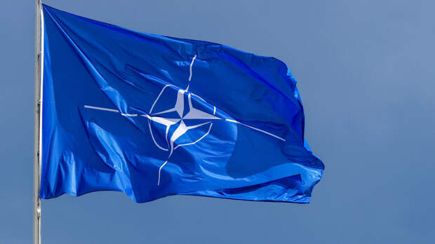 Bloomberg узнал о подготовке НАТО миссии "Арктический страж" из-за США