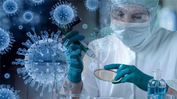 Вирусологи рассказали о будущем коронавируса