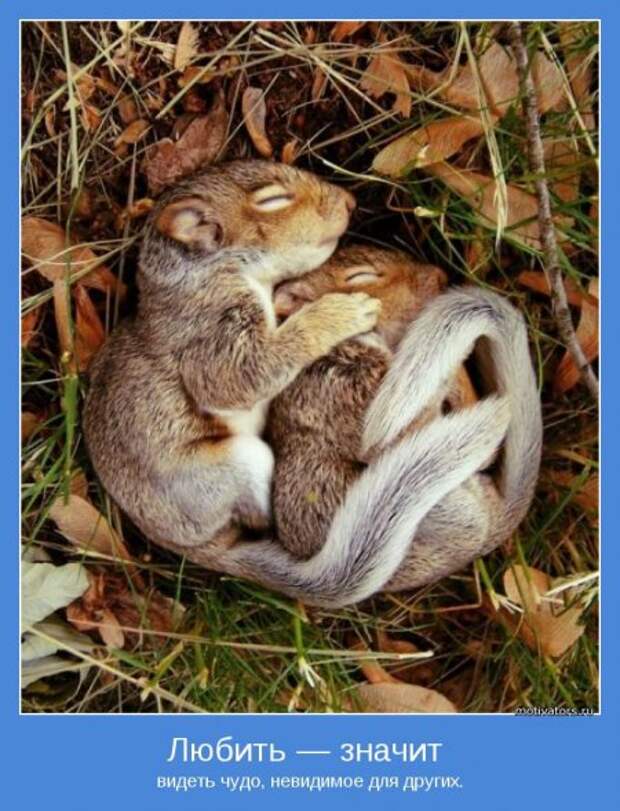 Красивые фотки и фразы, мотиваторы о любви.