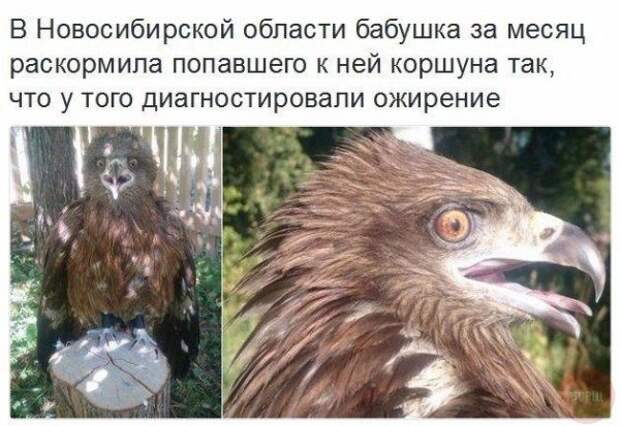 ПОЗИТИВНЫЙ ПОСТ+ 195