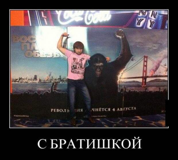Немного новых демотиваторов