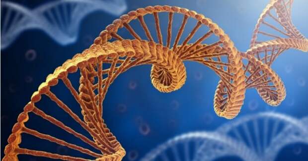 Как была демонтирована ДНК допотопных великанов?