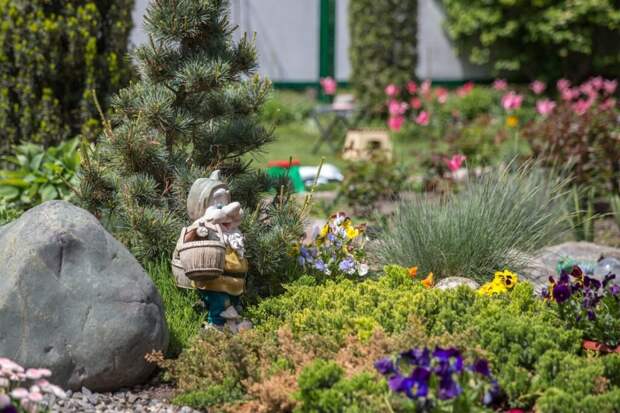 Как не сжечь сад, работая с медным купоросом: советы опытных дачников