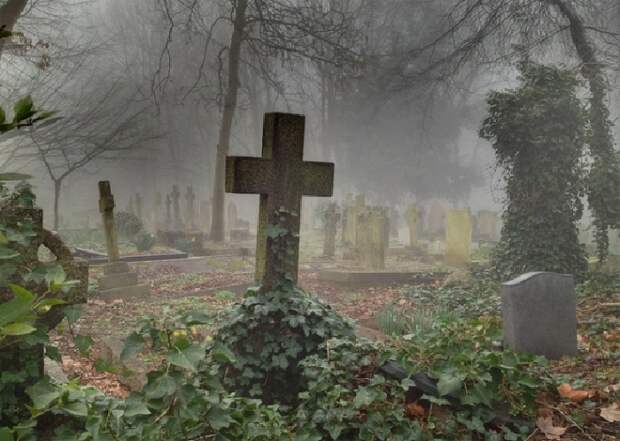 Лондонское кладбище викторианской эпохи, расположенное в лесу. 