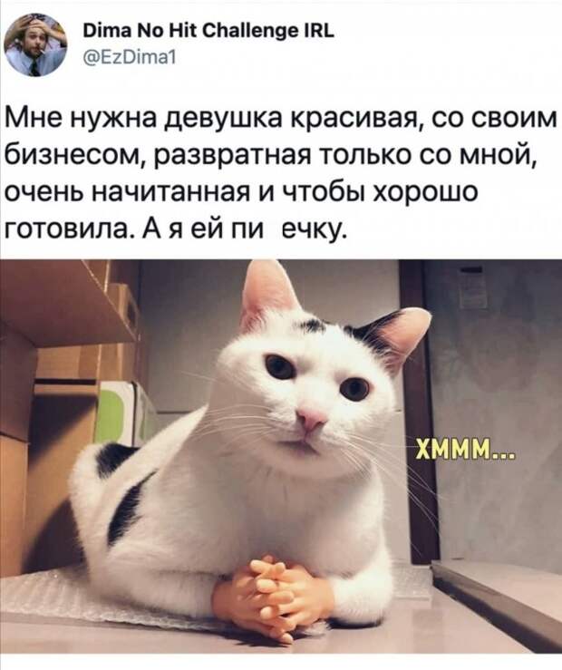 Приколы про девушек