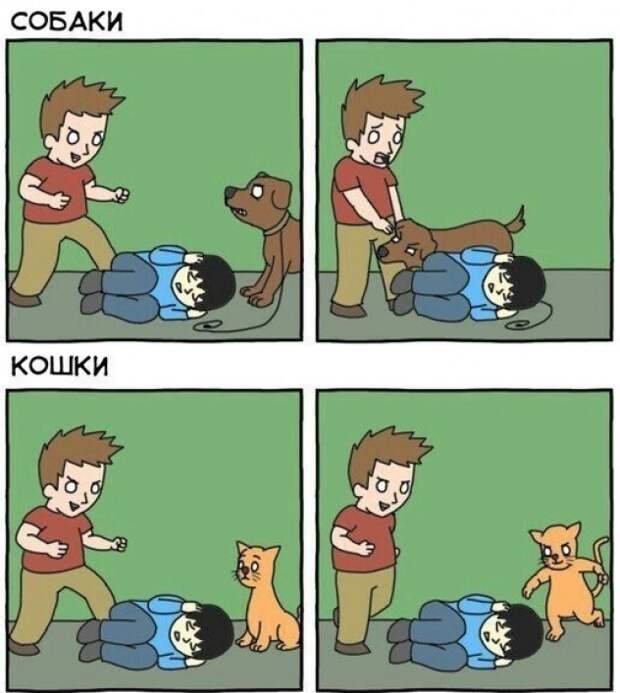 Позитив и веселье с фото приколaми  прикол, юмор