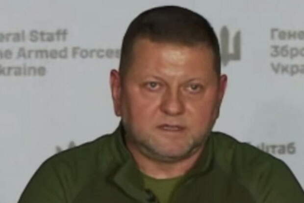 На Украине раскрыли доходы брата экс-главкома ВСУ Залужного