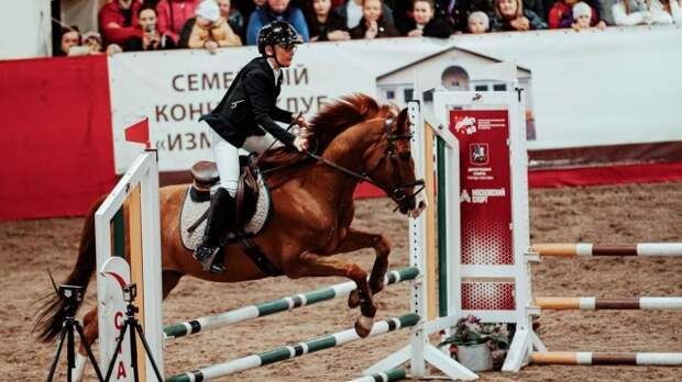 Горожанам рассказали, где в Москве заняться конным спортом