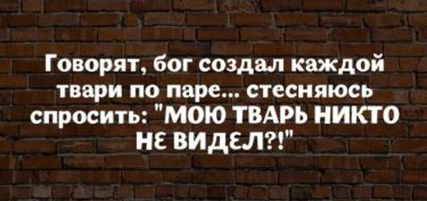 18 высказываний от мудрых женщин с юмором
