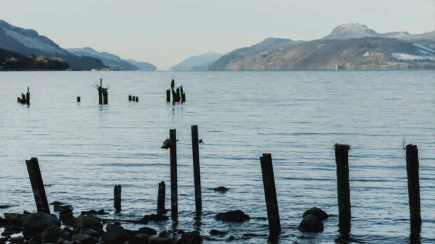 Оно возвращается: Лох-несское чудовище дважды заметили в Шотландии