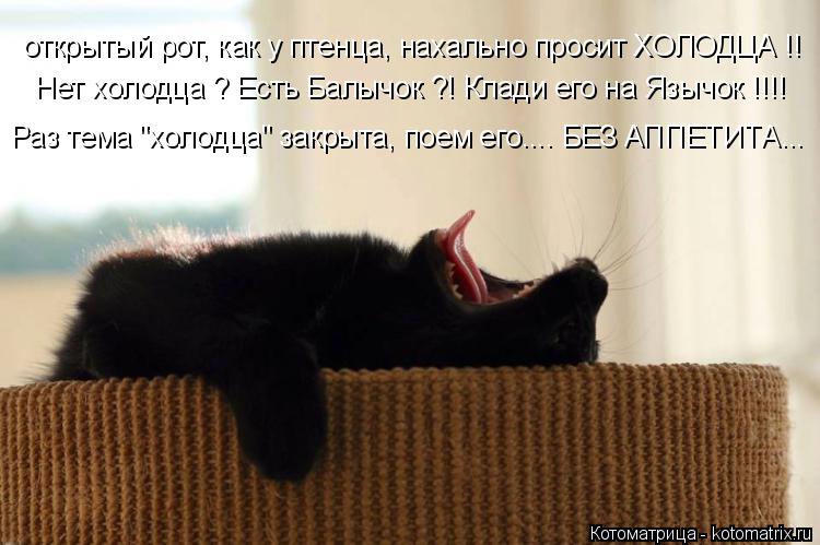 Котоматрица: открытый рот, как у птенца, нахально просит ХОЛОДЦА !! Нет холодца ? Есть Балычок ?! Клади его на Язычок !!!! Раз тема "холодца" закрыта, поем его..