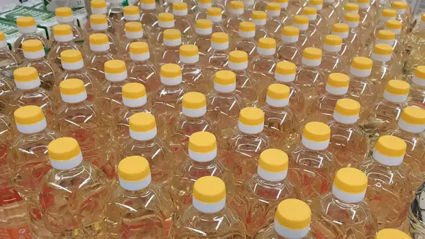 Источник: Виктор Лисицын/Global Look Press