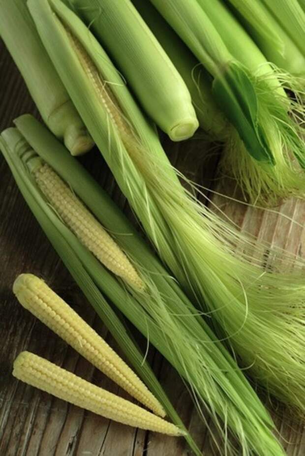 Продукты! И как они растут! продукты, удивительное, растения