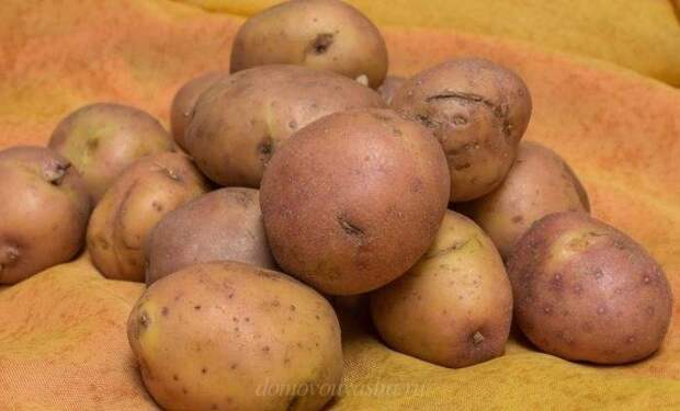 Картошка по деревенски в духовке