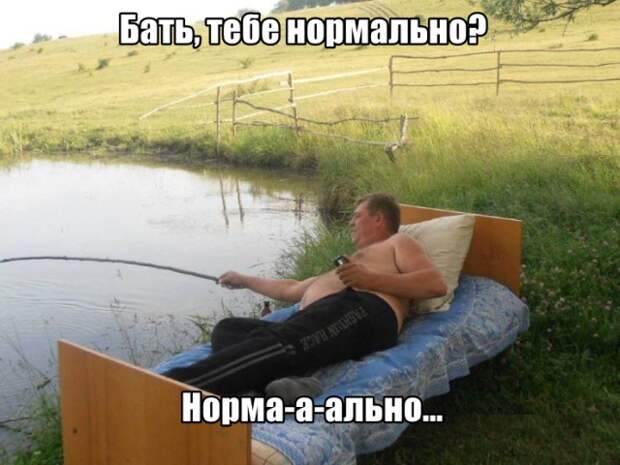 www.vsyako.net