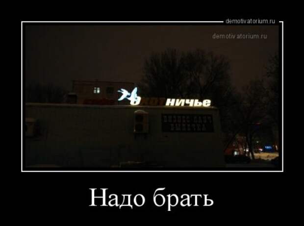 Новые демотиваторы (21 шт)