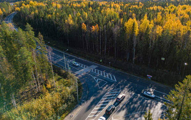 Александр Беглов поручил расширить перечень планируемых к ремонту подъездных дорог к садоводствам