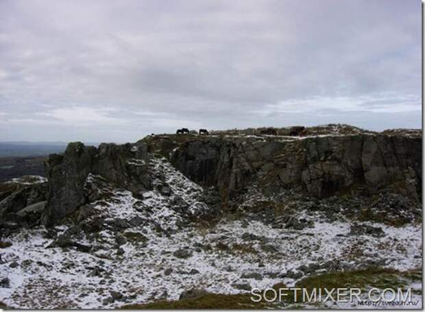 clip_image024[6]