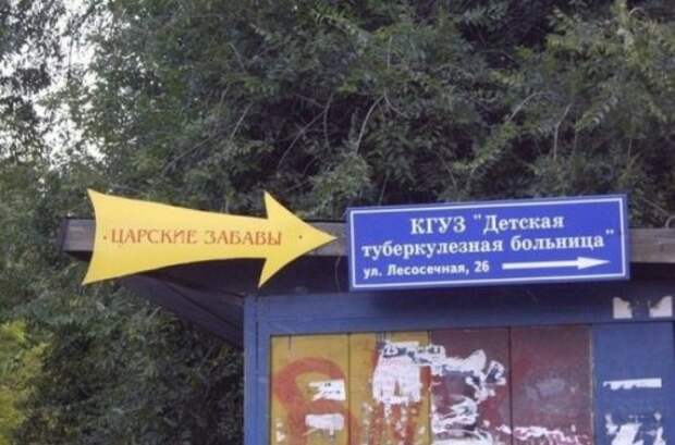 Смешные вывески, объявления и реклама (20 фото)
