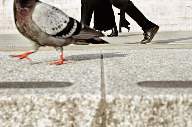 matt-stuart-fubiz-2.jpg matt-stuart-fubiz-2.jpg