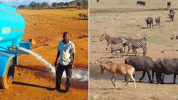 Фермер из Кении доставляет воду для диких животных во время засухи воду животным Африки, животные, фермер-меценат
