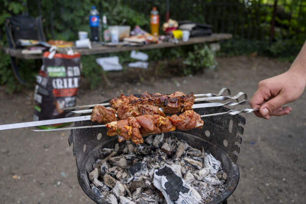 Сервис "Пакет": покупки тарелок и блюд для шашлыков почти удвоились в апреле