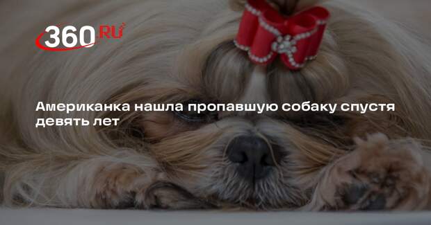 В США пес вернулся домой почти через девять лет после исчезновения