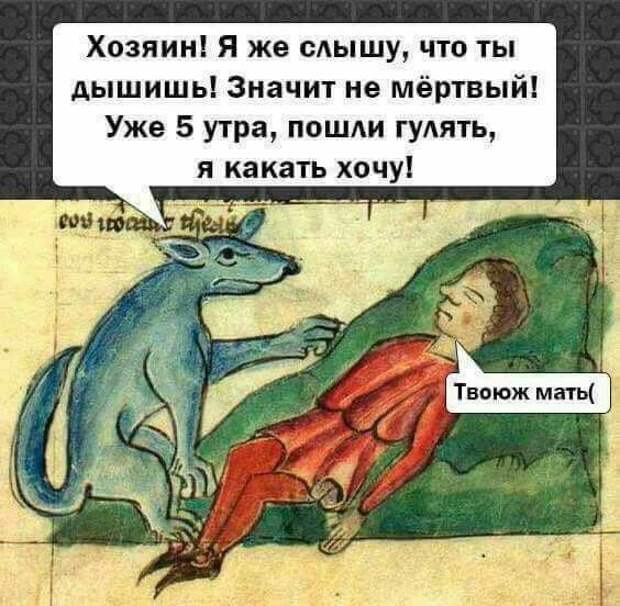 Подборка картинок. Вечерний выпуск (50 фото)