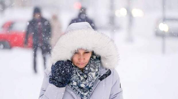 Мороз, метель и снегопад: синоптики предупредили москвичей об ужасной погоде
