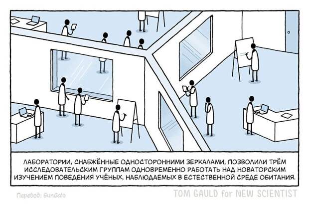 На изображении может находиться: текст «лаборатории, снабжённые односторонними зеркалами, позволили трём исследовательским исследоват группам одновременно работать над новаторским изучением поведения учёных, наблюдаемых в естественной среде обитания. перевод: SunGato TOM GAULD for NEW SCIENTIST»