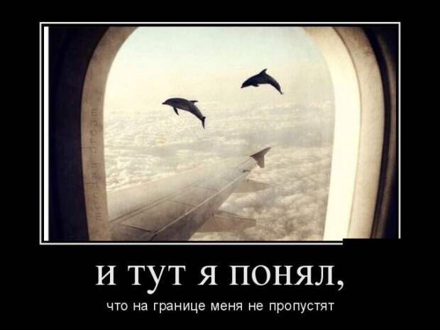 Демотиваторы (30 фото)