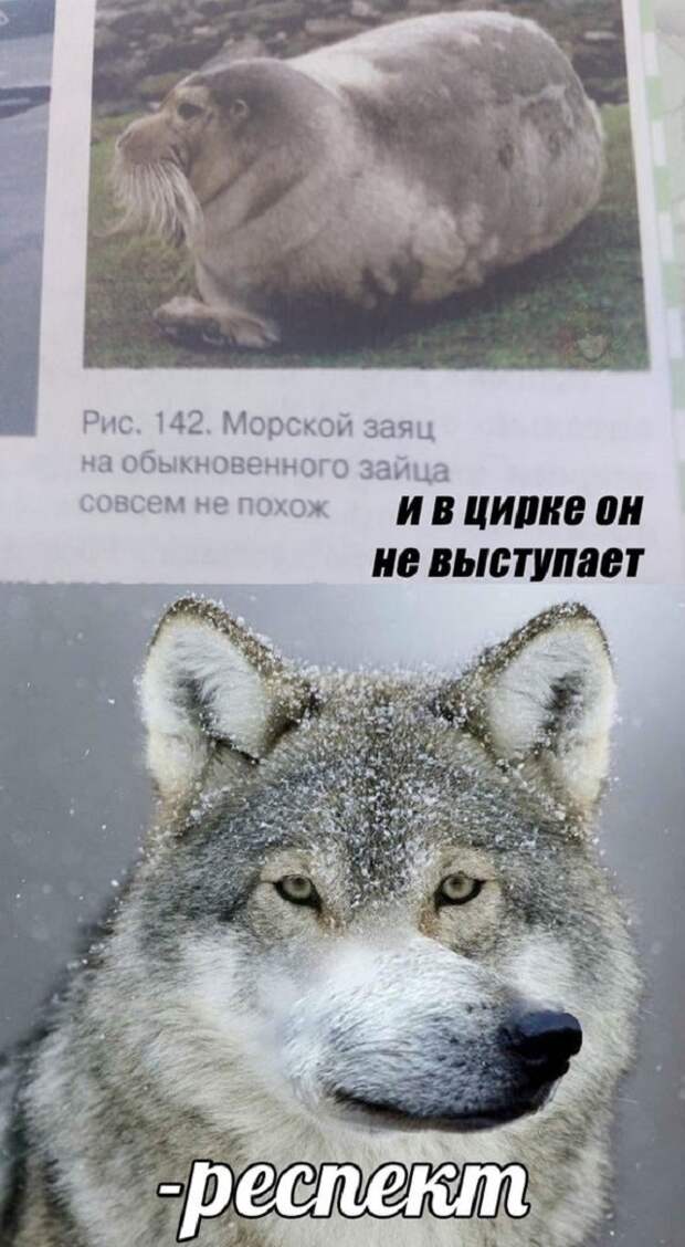 www.vsyako.net