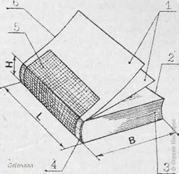 Конструкция книги. Детали книжного блока. Элементы переплета. Детали книжного переплета. Переплетная крышка книжный блок обрез.