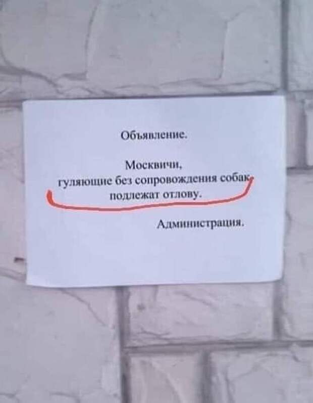 Объявления эпохи коронавируса наверняка войдут в историю Объявления эпохи коронавируса наверняка войдут в историю