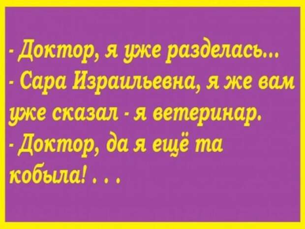 Жена читает выдержку из журнала мужу вслух...