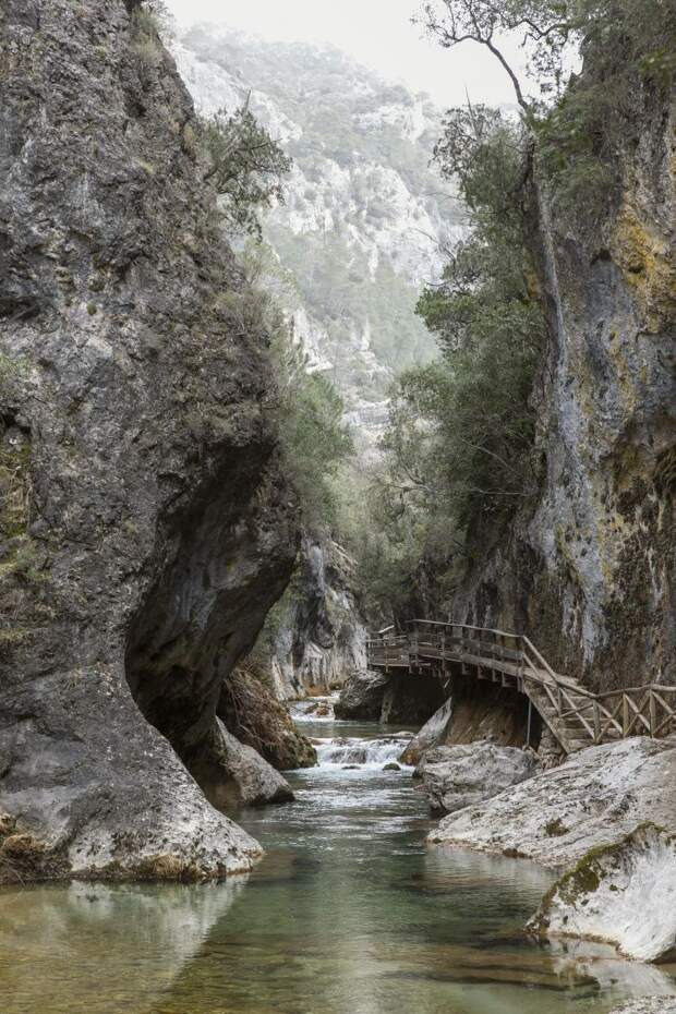 Ночная тревога на Орлиных скалах: подробности спасательной операции