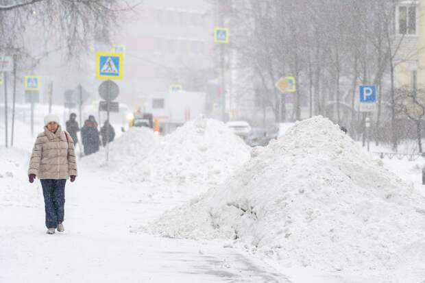 Москвичам предрекли арктические морозы