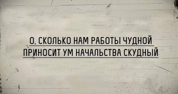Прикольные картинки вторника (22 картинки)