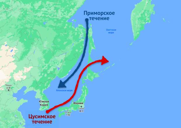 О таком проекте мало кто слышал, однако он способен принести несколько крайне интересных и полезных эффектов.-5