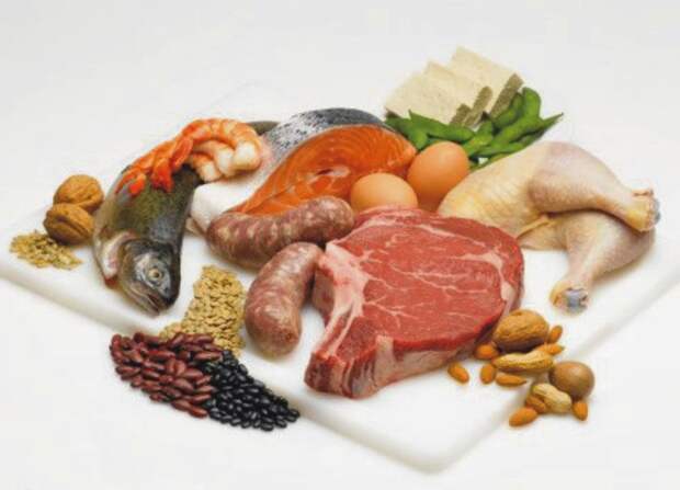 белковая пища для роста мышц