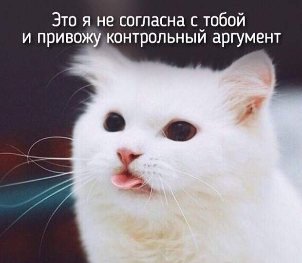 Не отличить даже при ближайшем рассмотрении — 20 животных, которые ведут себя совсем как я! Не отличить даже при ближайшем рассмотрении — 20 животных, которые ведут себя совсем как я!
